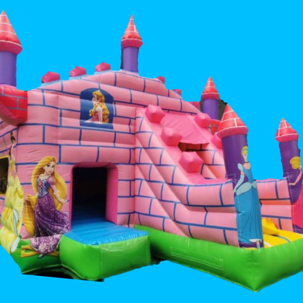 Prinzessin Hüpfburg mieten Rothenburg, Sottrum, Bremen